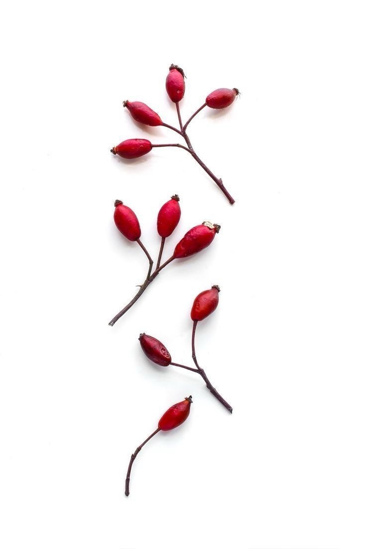 Nike Sportswear Tee Shirts #09